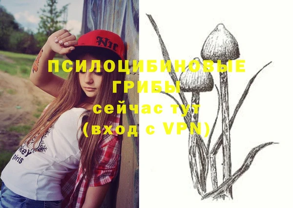 таблы Медногорск