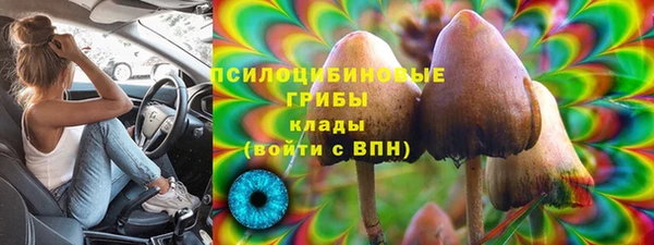 ALPHA-PVP Мегион