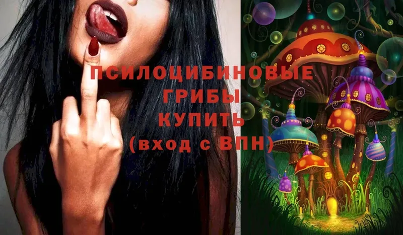 Галлюциногенные грибы MAGIC MUSHROOMS  где найти наркотики  это какой сайт  Осташков 