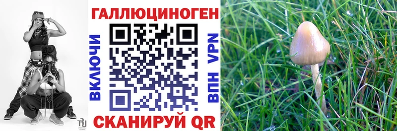 Галлюциногенные грибы MAGIC MUSHROOMS Осташков